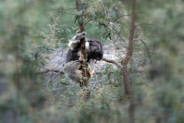 Melbourne, Australia