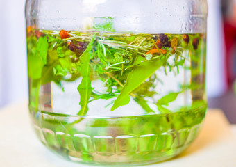 herbs and spices to macerate in alcohol to produce traditional liqueur - sage, rosemary, bay leaf, basil, oregano, mint, thyme, cloves, anise
