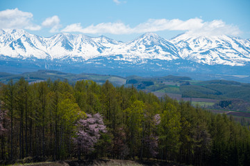 雪山のある風景