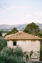 Fototapeta na wymiar Tiled roof of an old winery villa in Tuscany, Italy.