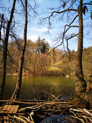 Obraz premium Spaziergang