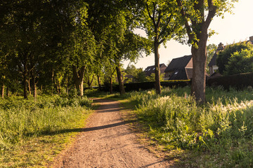 Fototapeta premium A walking path in Eersel, The Netherlands surrounded by trees and greenery. Shot on a sunny day during sunset creating an idyllic scenery