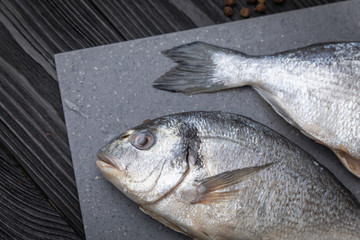 Dorada on a gray board, dark background
