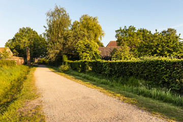 A walking path in Eersel, a rural area in The Netherlands surrounded by trees and greenery. Shot on a sunny day during sunset creating an idyllic scenery. Brabant, countryside