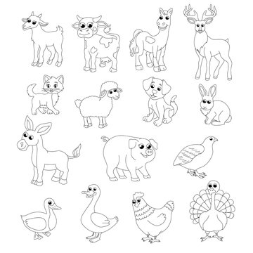 Set of pet coloring books for children silhouettes