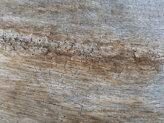 Fond texture bois ancien