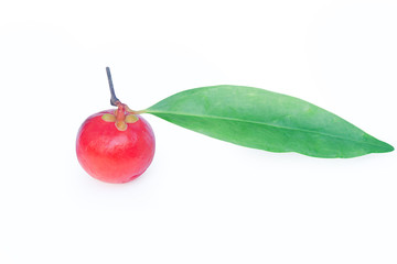 Garcinia cowa Roxb Fruit, Madan red isolated on white background with clipping path .