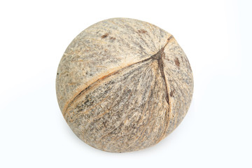 Pieces of coconut isolated on white background with clipping path