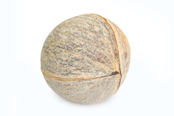 Pieces of coconut isolated on white background with clipping path