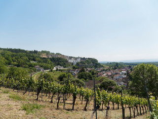 Naklejka premium Rheinlandschaft. Blick auf Istein und seine Weinberge mit historische Fachwerkhäuser und Pfarrkirche St. Michael, Bahnhof Station unter dem Kalkwerk