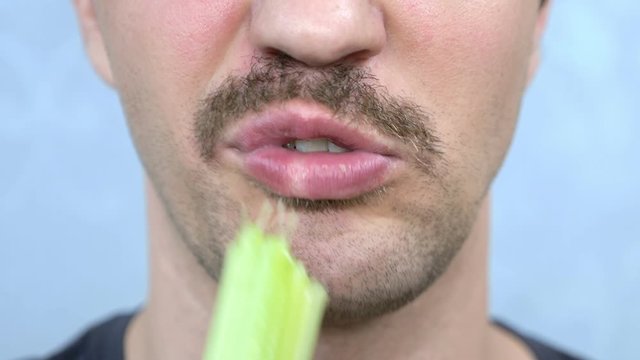closeup mouth. handsome mustachioed man happily eats a stalk of celery