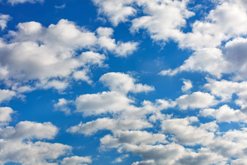 Naklejka na ściany i meble White clouds in backlight against a blue sky.