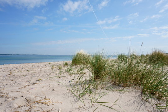 D&uuml;nengras am wei&szlig;en Sandstrand an der Ostseee