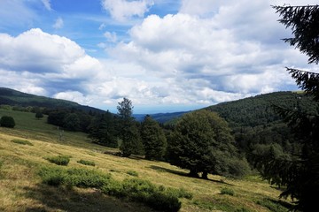 Fototapeta premium Hiking through beautiful landscape near the Le Markstein mountain