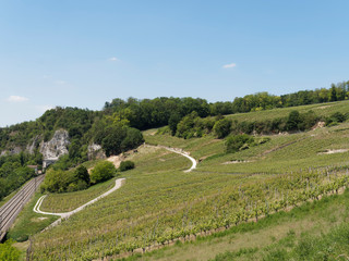 Blick auf Istein Weinberge, ein kleines Dorf in Baden-Württemberg, die zur Gemeinde Efringen-Kirchen gehöre