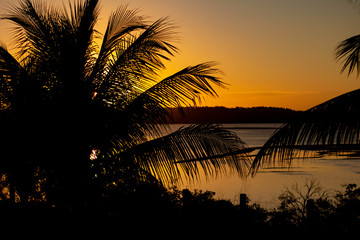 Shocking and beautiful sunset between coconut or palm trees. Tropical vacation landscape.