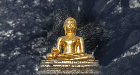 Golden Buddha under blurred large tree in dark natural background, peace to the world concept, vintage lighting style