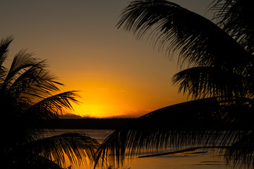Shocking and beautiful sunset between coconut or palm trees. Tropical vacation landscape.