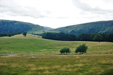 Mountain meadows between the Col de la Schlucht and the Col du Falimont