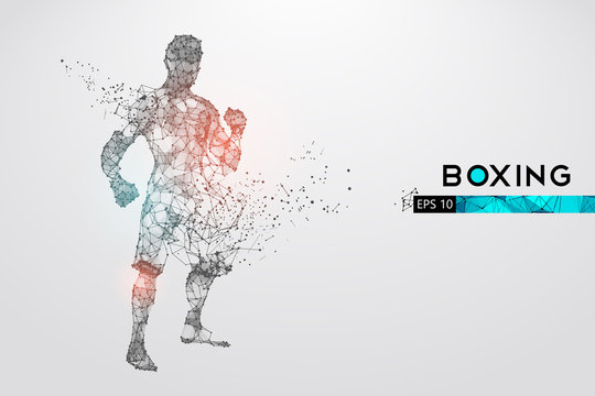 Abstract silhouette of a wireframe boxer fighter with boxing gloves on the white background. Boxer is winner. Convenient organization of eps file. Vector illustration. Thanks for watching