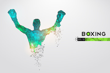 Abstract silhouette of a wireframe boxer fighter with boxing gloves on the white background. Boxer is winner. Convenient organization of eps file. Vector illustration. Thanks for watching
