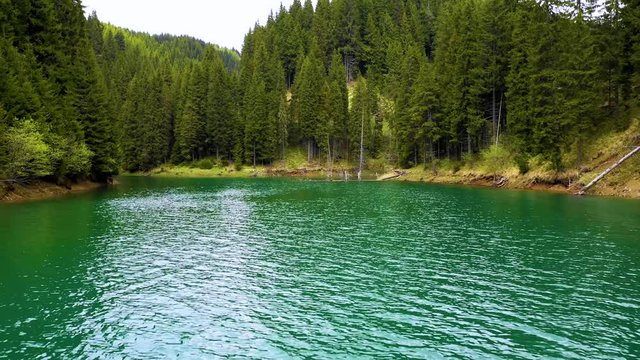 Turquoise water in a mountain forest lake with pine trees. Aerial view of blue lake and green forests. View on the lake between mountain forest. Over crystal clear mountain lake water. Fresh water 