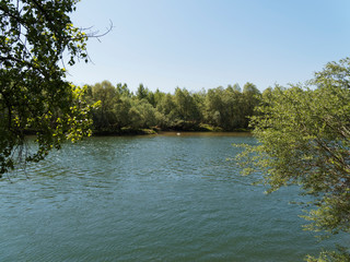 Bei Istein, am Rande des alten Rheins zwischen Kleinkems, Weil am Rhein und Breisach