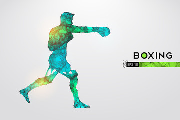 Abstract silhouette of a wireframe boxer fighter with boxing gloves on the white background. Boxer is winner. Convenient organization of eps file. Vector illustration. Thanks for watching