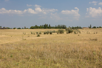 Fototapeta na wymiar Lazy day in the sunlit steppe. Dry grass field in summer. Crimea.