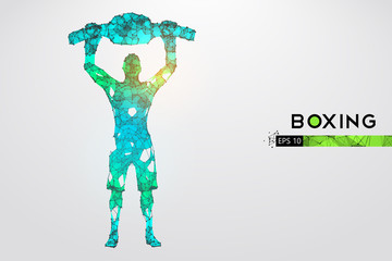 Abstract silhouette of a wireframe boxer fighter with boxing gloves on the white background. Boxer is winner. Convenient organization of eps file. Vector illustration. Thanks for watching