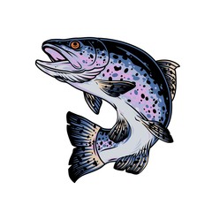 Fototapeta premium Rainbow trout vintage concept