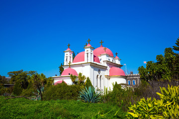 Church with pink domes and golden crosses
