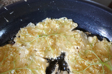 Elderflowers in pancake batter getting deep fried in pan, close up of Hollerkrapfen traditional European summer sweet elder black, sambucus nigra l.