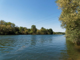 Bei Istein, am Rande des alten Rheins zwischen Kleinkems, Weil am Rhein und Breisach. Das Ufer am...