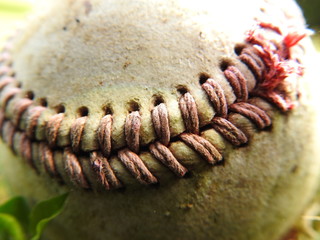 Balle de baseball macro