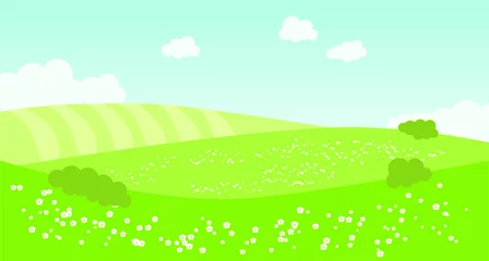 Fotobehang Green landscape with fields, clouds, daisies. Vector illustration. © Oksava