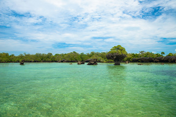 tropical lagoon in zanzibar