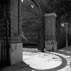 Waking path Arch In Small Town Black and White Medium Format Film