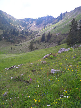 Brecherspitz