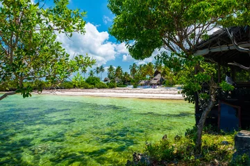 Photo sur Plexiglas Zanzibar tropical beach with palm trees paradise zanzibar