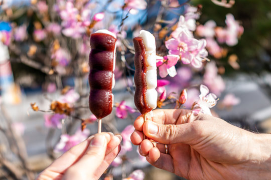 Background Of Pink Sakura Or Plum Tree Flower Petals In Spring Springtime In Nikko, Japan With Hands Holding Two Anko Odango Rice Cake Mochi Desserts