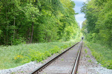 Fototapeta premium train on railway in green forest between trees