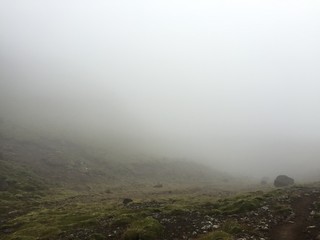 dunst ger&ouml;ll moos island rauh