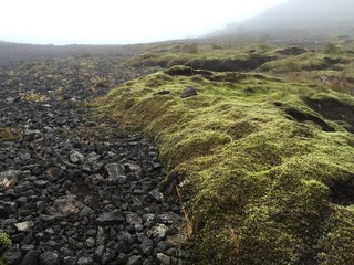 ger&ouml;ll moos island rauh