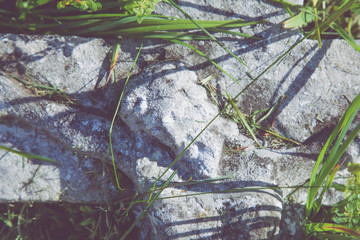 The crucifixion of Jesus Christ. Old and ancient stone destroyed statue in the grass.