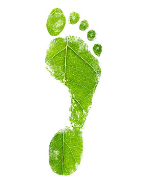 Green Eco Footprint. Leaf Design.