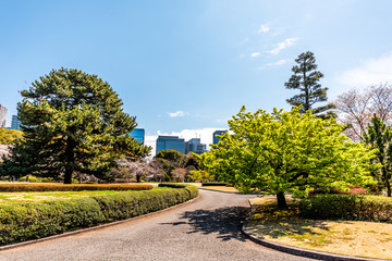 Tokyo, Japan national garden park road with skyscrapers view on path in Imperial palace grounds during spring day in downtown with cityscape wide angle view