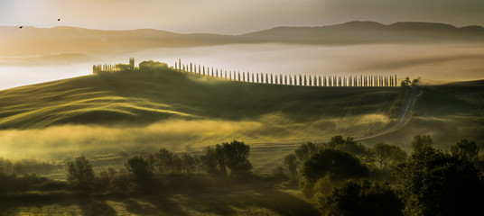 The rolling hills of Tuscany