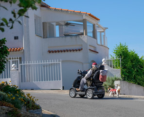 Elderly disabled person or senior with a dog on electric wheelchair or a mobility scooter driving...