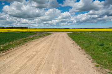 Crossroad in countryside.